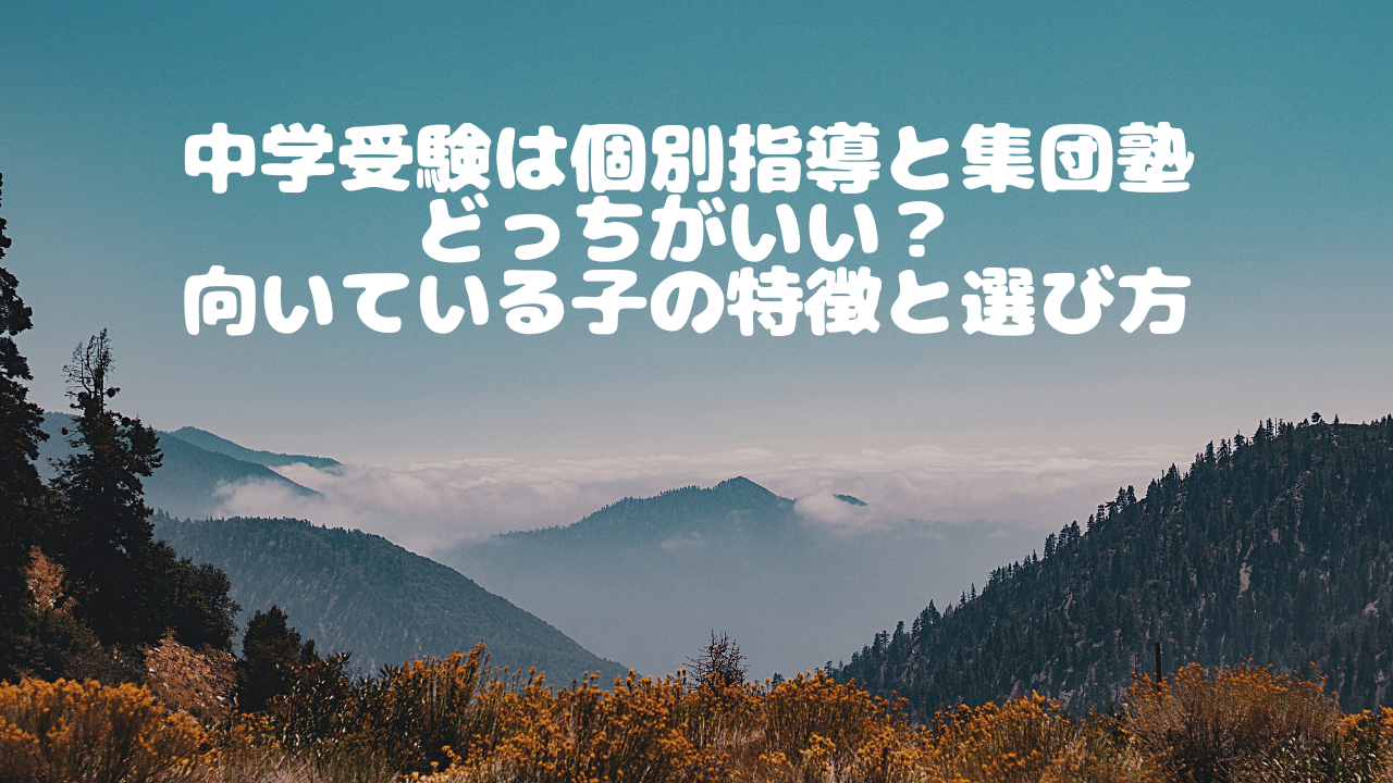中学受験は個別指導と集団塾どっちがいい?向いている子の特徴と選び方